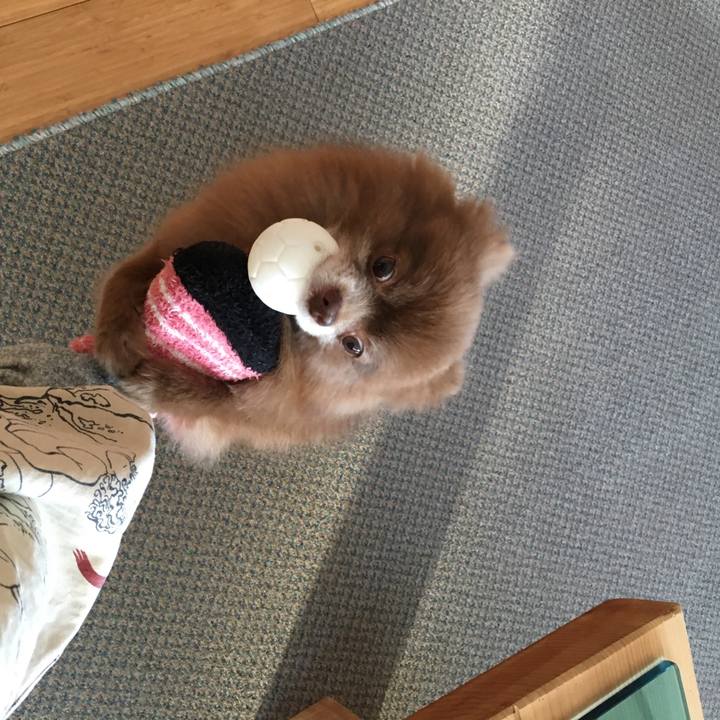 A6d4b4ee db79 41d7 b011 ceaaf8ddb95c