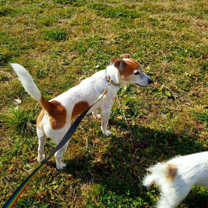 A6d563a6 fdee 42fc 8430 900b49b2203b