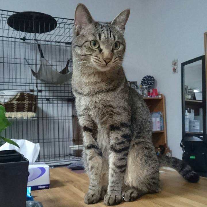 A6d56e51 ef72 4cee b94e a2b77263d180