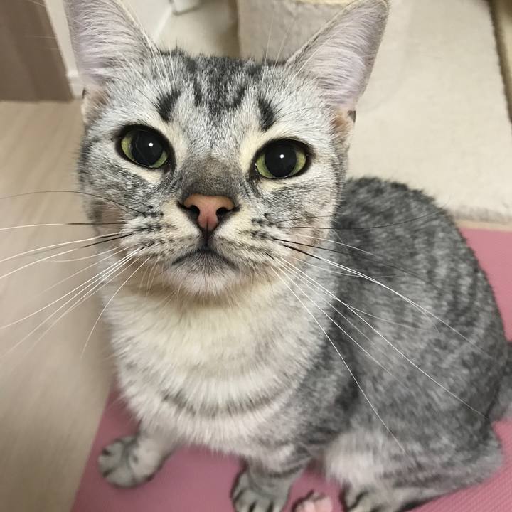 A6d59c9a 5cce 4d54 b6c6 d12b54532b8a