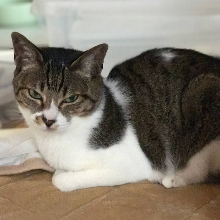 A6d6a993 73d8 4e83 9026 011842adba6f