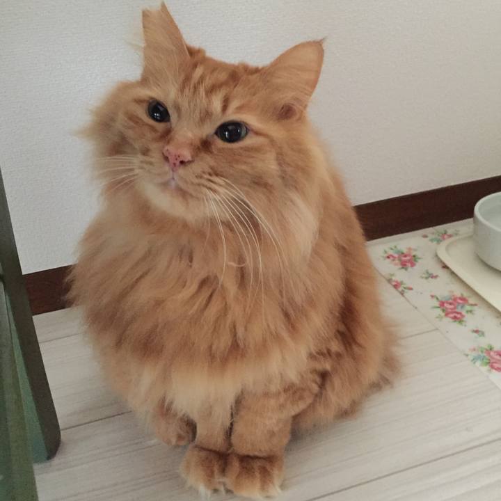 A6d70556 2503 4f83 b763 bb76eb8e2595