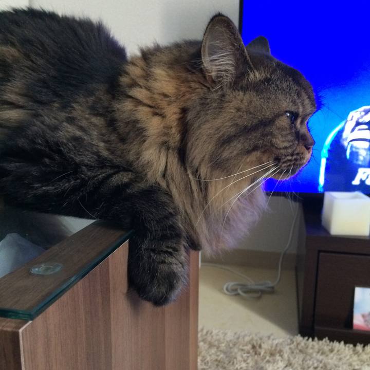 A6d70e74 80d9 427c a512 34712bc0c079