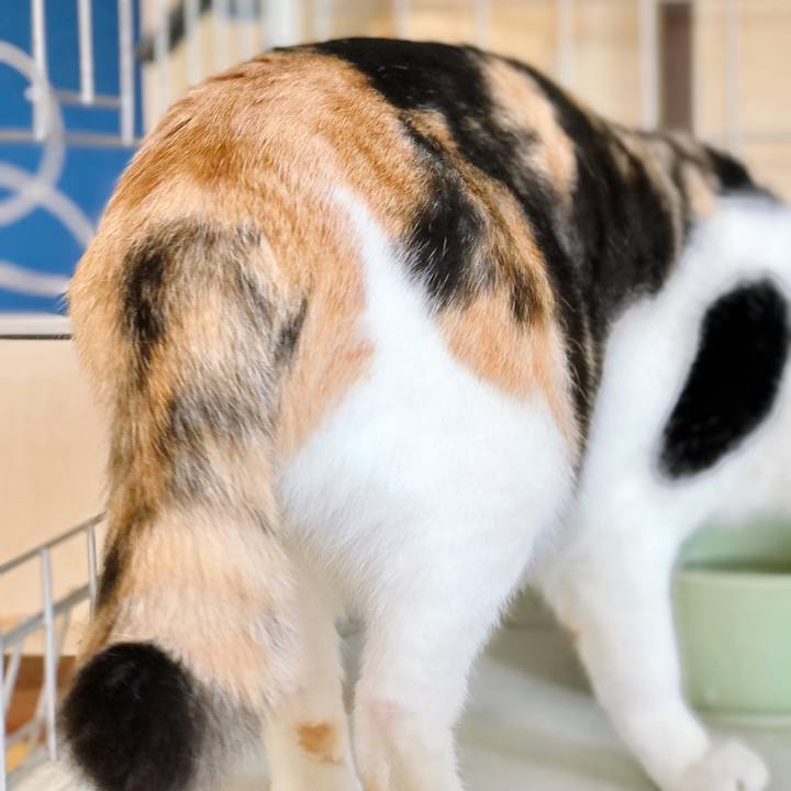 A6d71588 ea4e 4e2b 91db 584d19a91907