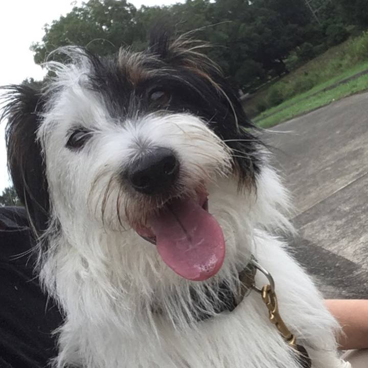 A6d80907 5517 4fd2 9d81 645114721e18