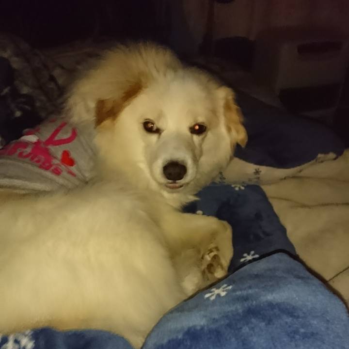 A6d8a869 bd2c 4797 b222 c6fdca55b130