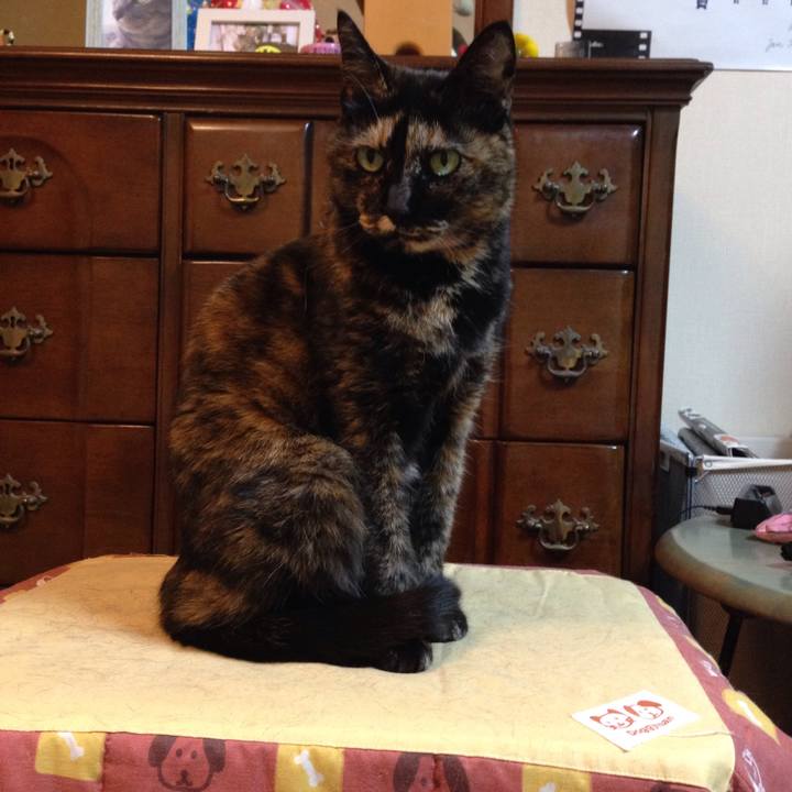 A6d8a99d 5386 4a89 b05b e3504ed235aa