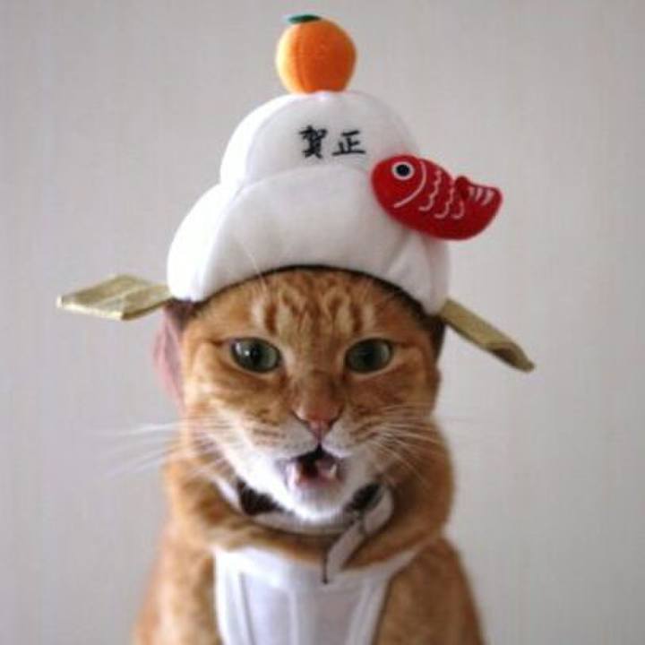 A6d8bbde 5af3 41f6 af95 e61bf1939514