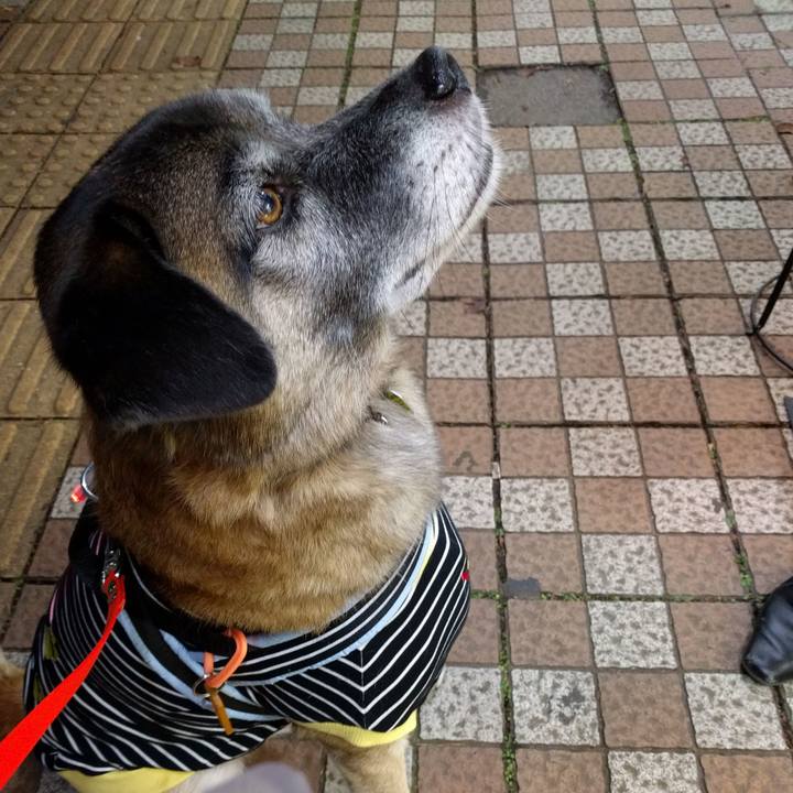 A6d9749b 4f5b 45af a3d9 e8faf6ee2c62