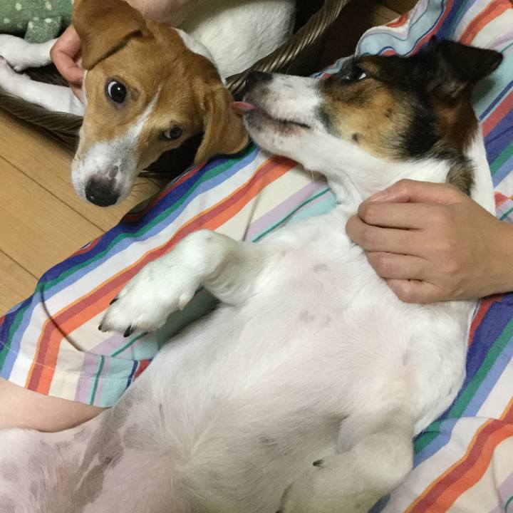 A6d9add4 5ee9 4087 9544 2e1144a70d8a