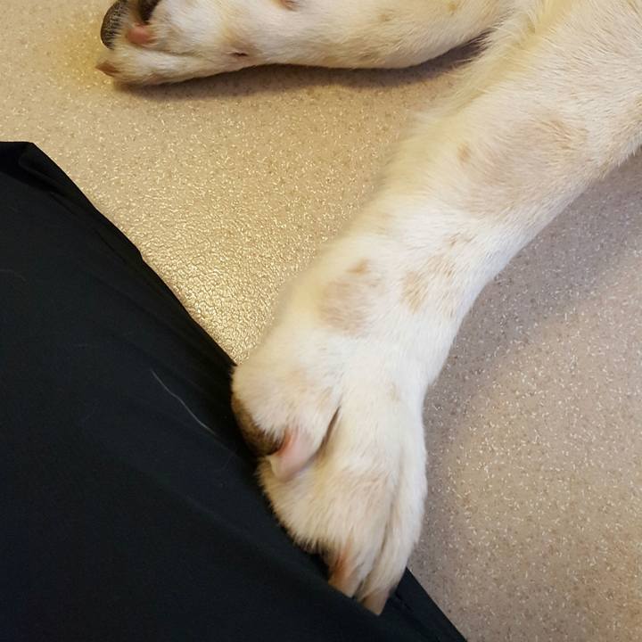 A6d9d398 cb6b 4724 97c4 018124391319