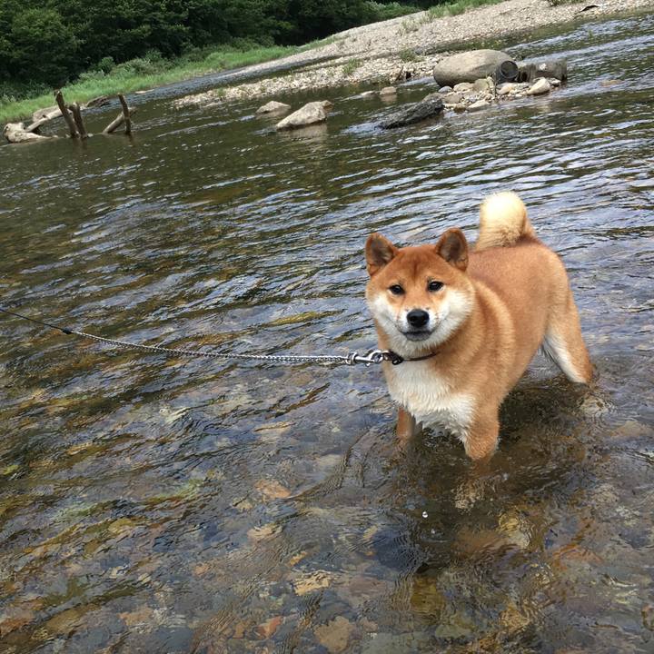 A6da58d1 0043 40b0 8881 93fd8c33fad0