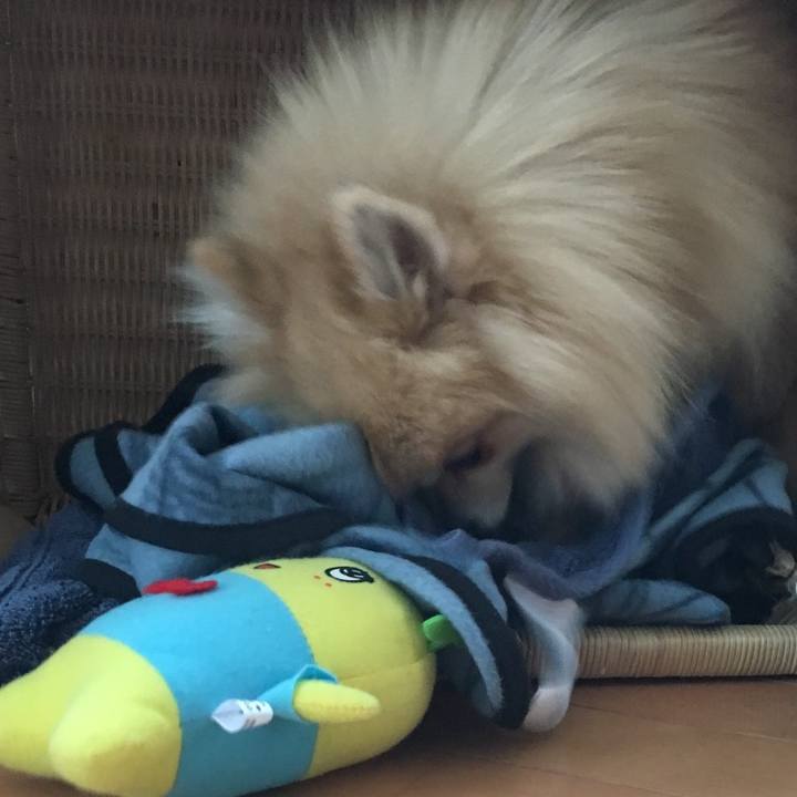 A6dba26f 901d 434b 9734 c116c7674c21