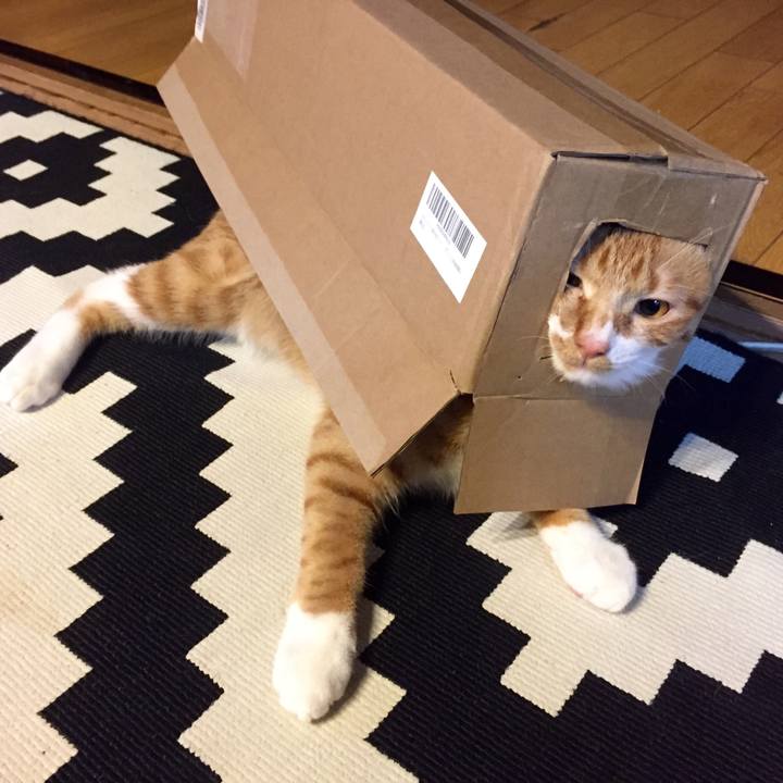 A6dc4979 bbef 491e b5e5 dc12fc6ed744