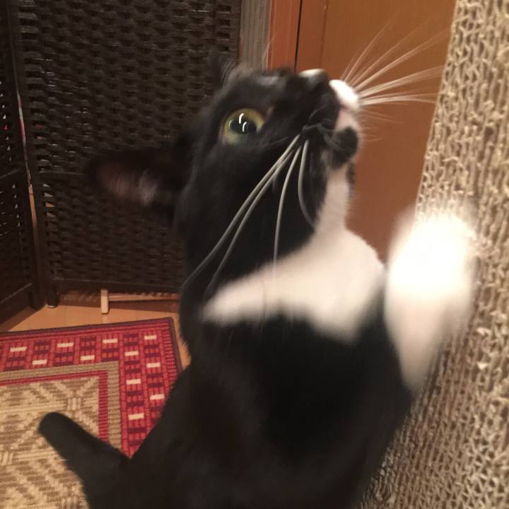 A6dc5f08 8e85 4a02 a1c1 74a44b52c9ee