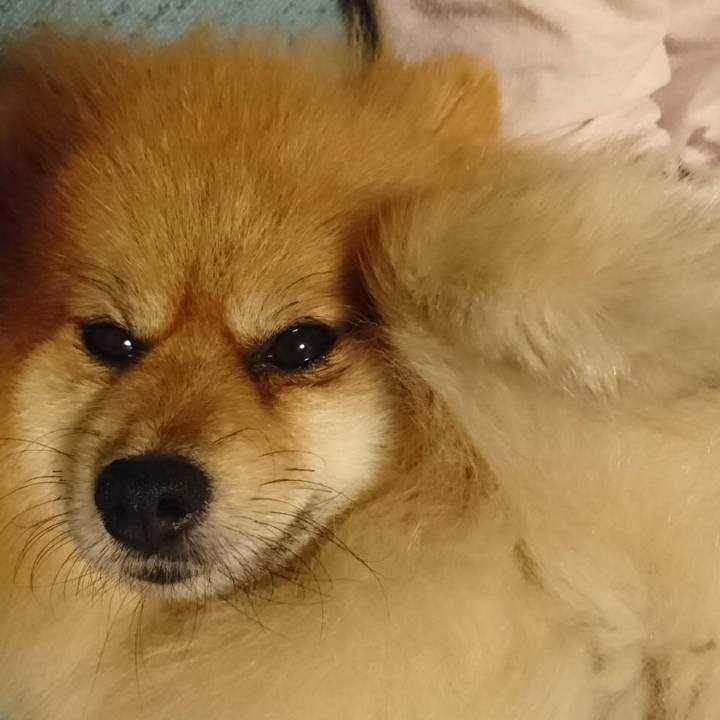 A6dd1868 9b74 4686 9258 89ca9506d811