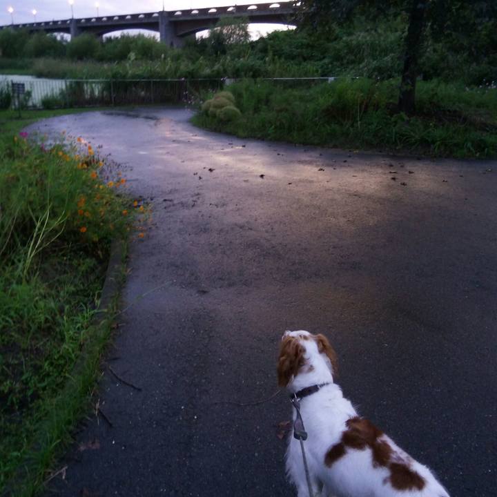 A6dd3f47 abba 4fa7 ac7f 9868aef41147