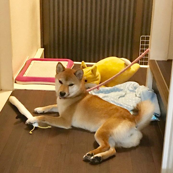 A6dda0a0 e108 4e46 8a50 a631d7ebf51a