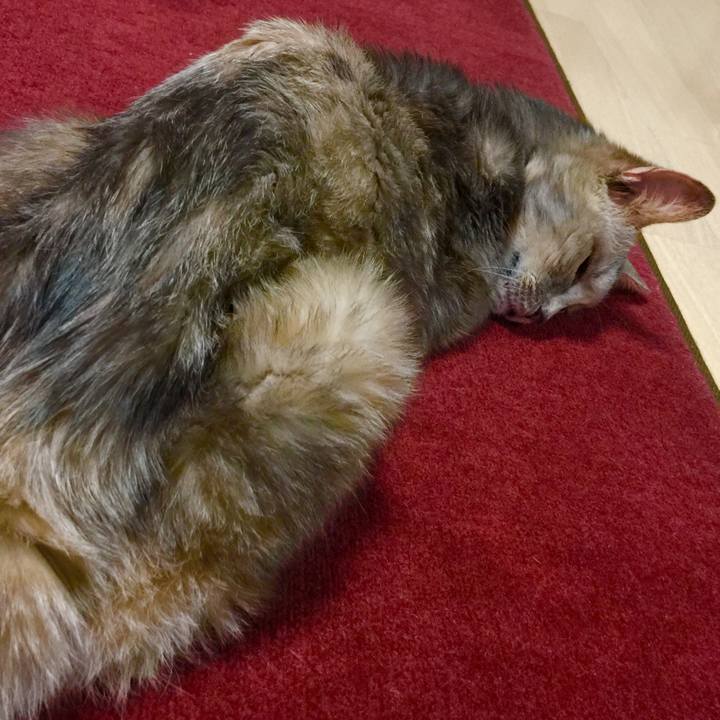 A6de6f9d b720 458f 8bec 66e8f27fb6b3