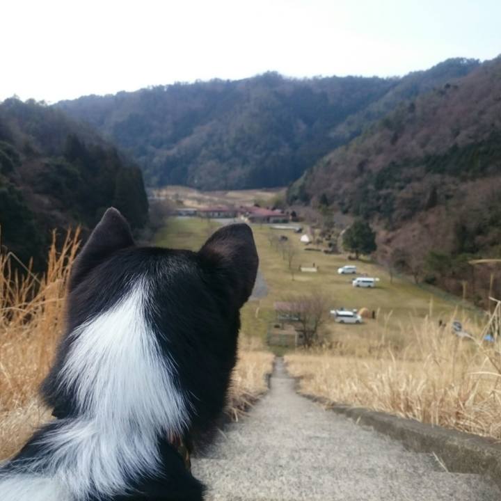 A6ded639 31bd 4192 86bf f9492fba78cf