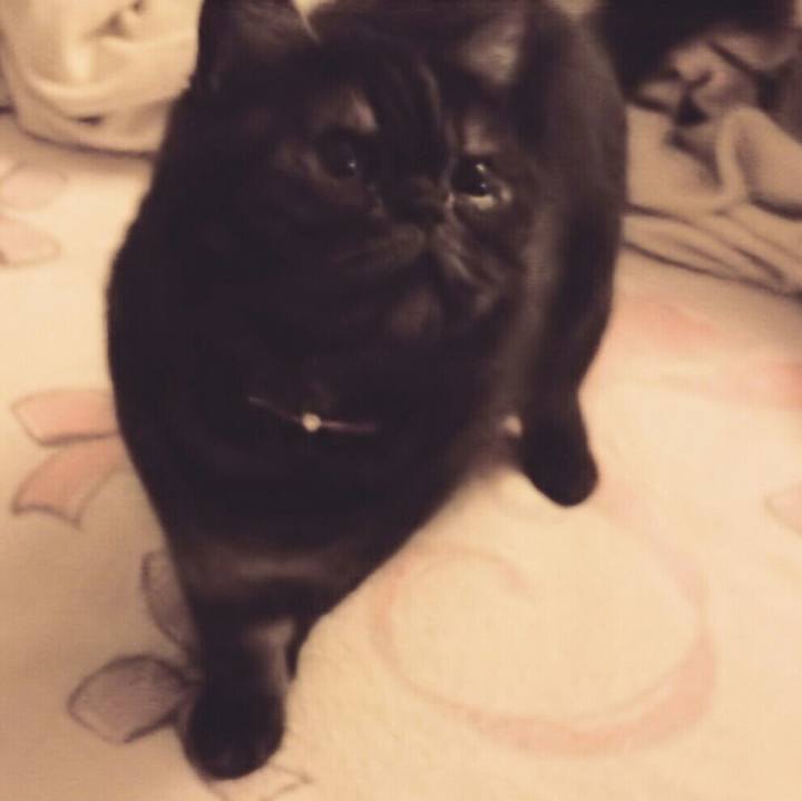 A6df0c2b d612 4c46 a4d4 d7b9da560552