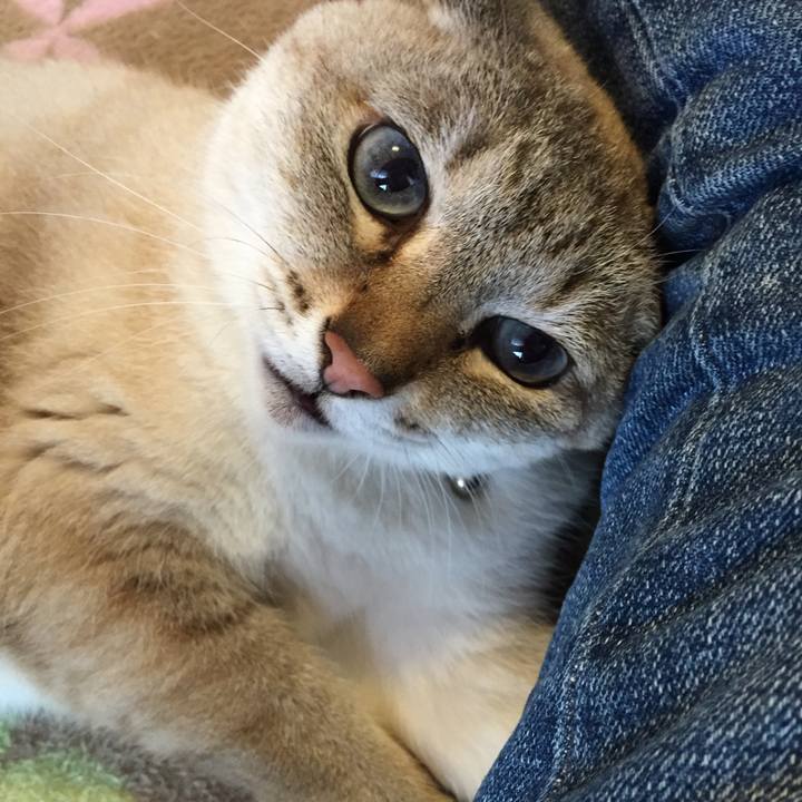 A6e15e51 0eb0 4287 8f04 5496535e1355