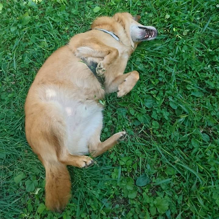 A6e2601e 9550 4272 b816 9747a9d2dee0