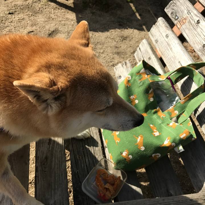 A6e31511 f11b 45be 8c1a 607b7c9a71c8