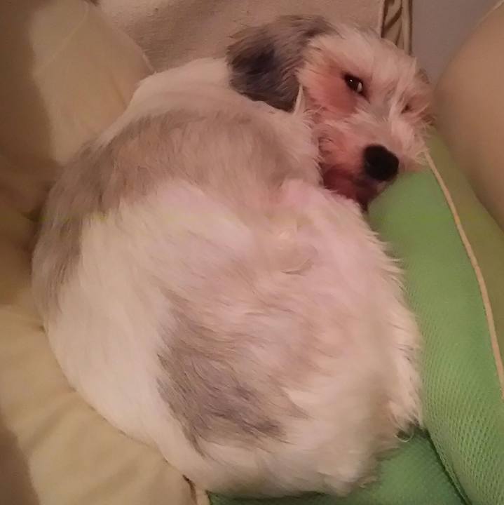 A6e3cb46 b6b9 43ee aa7f fbe957824807