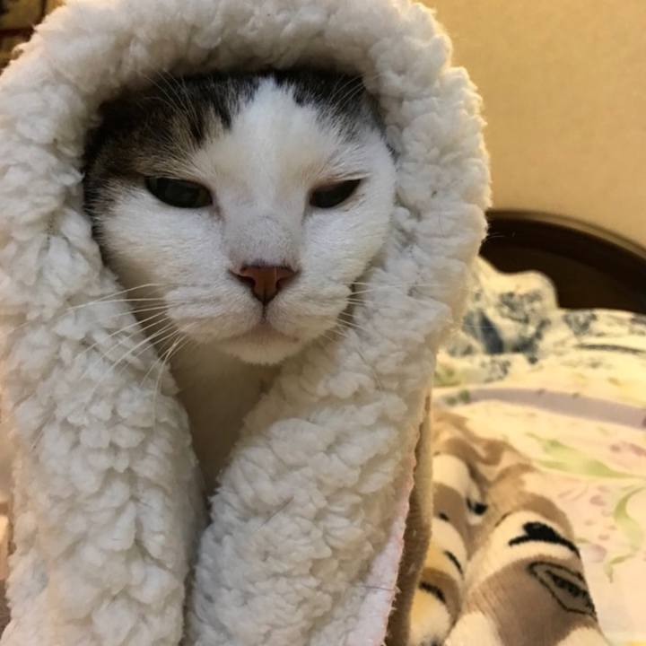 A6e3f089 9769 44e0 b28e cb213e64ca82