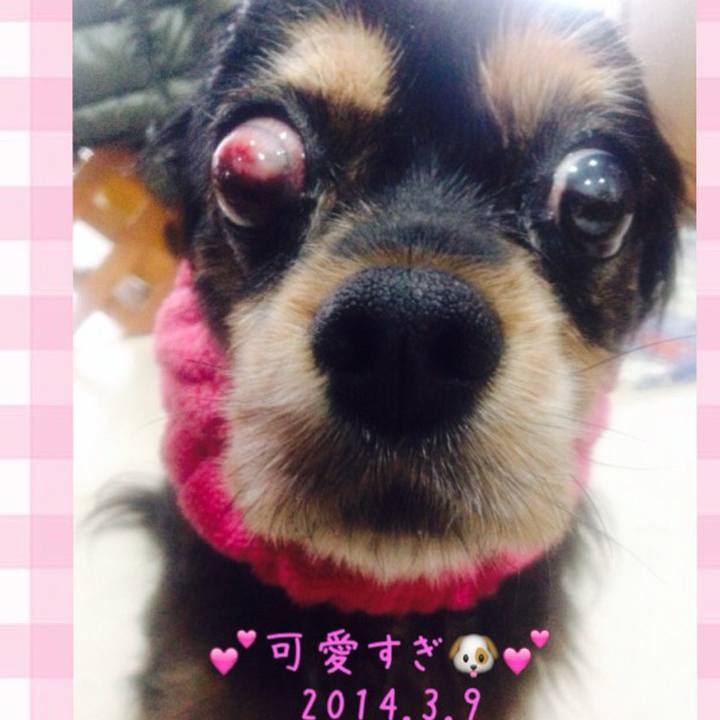 A6e496d4 38f8 4a24 9239 8c02fd62b0bd