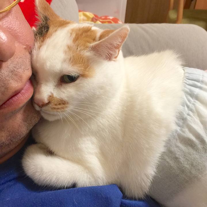 A6e4a79c 67e7 4eb1 a3fc 6ca5f44d5d8f