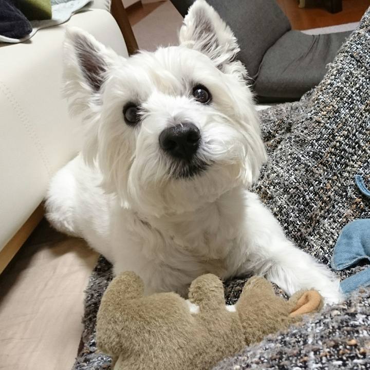 A6e53b1f 69c0 42ad 9ffe 7ed76813d677