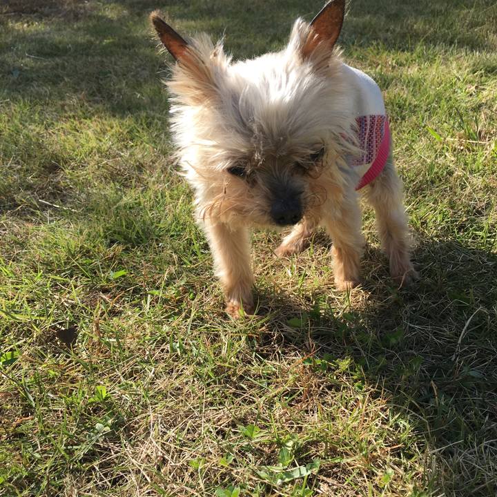 A6e54bfa 1d61 4b0b 993a 3246118b7101