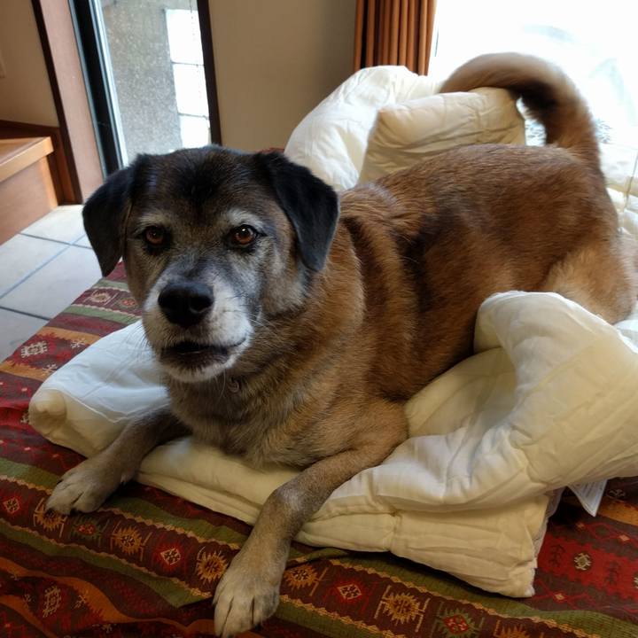 A6e679f1 6fb3 4ec5 8e38 8962c6df13cc