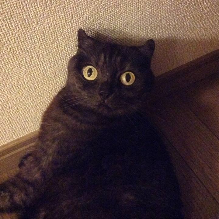 A6e6b629 59e4 436f 89cf 2494a127aa51