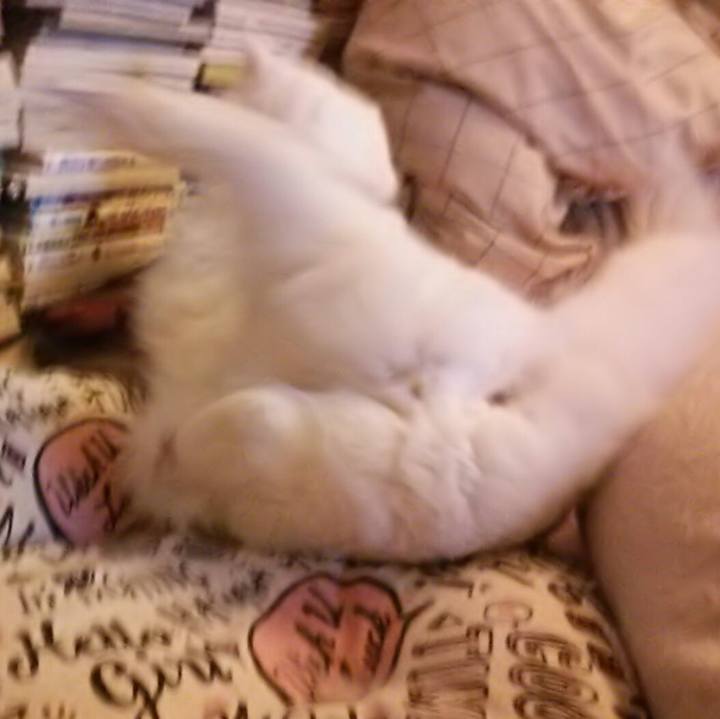 A6e77fe0 00b4 4d9e 89cf 38395993f303