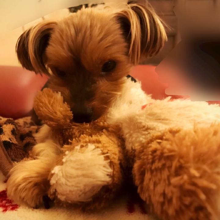 A6e7e6a4 3c1c 4d11 805f bbd7a1625d33