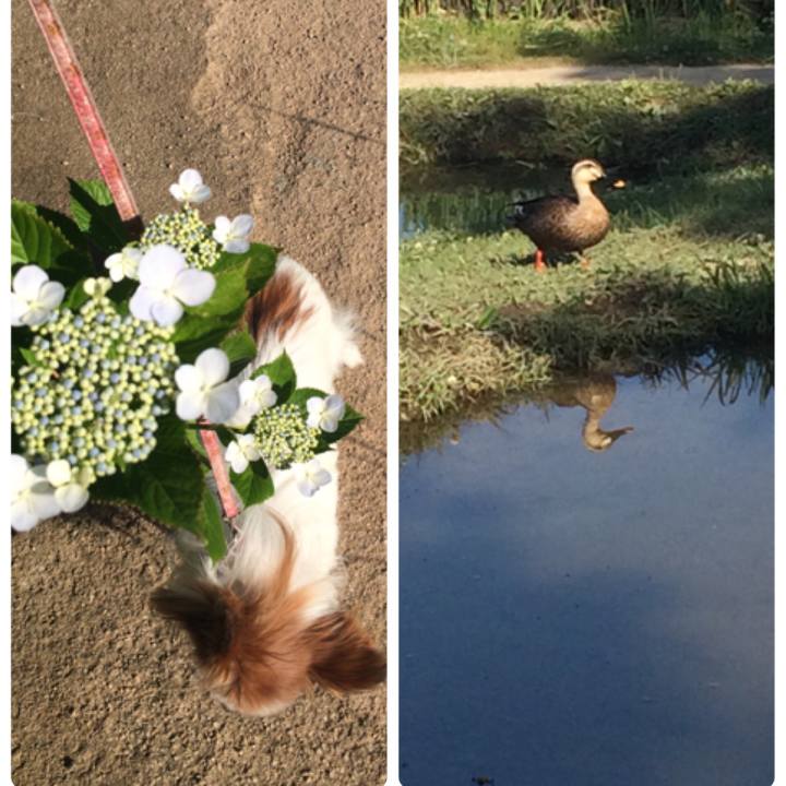 A6e84d8b 6d23 460c 82db 883286a05639