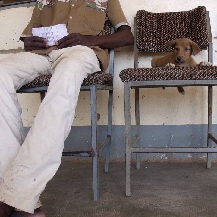 A6e904d1 3548 4d75 a087 f9d0000a6517