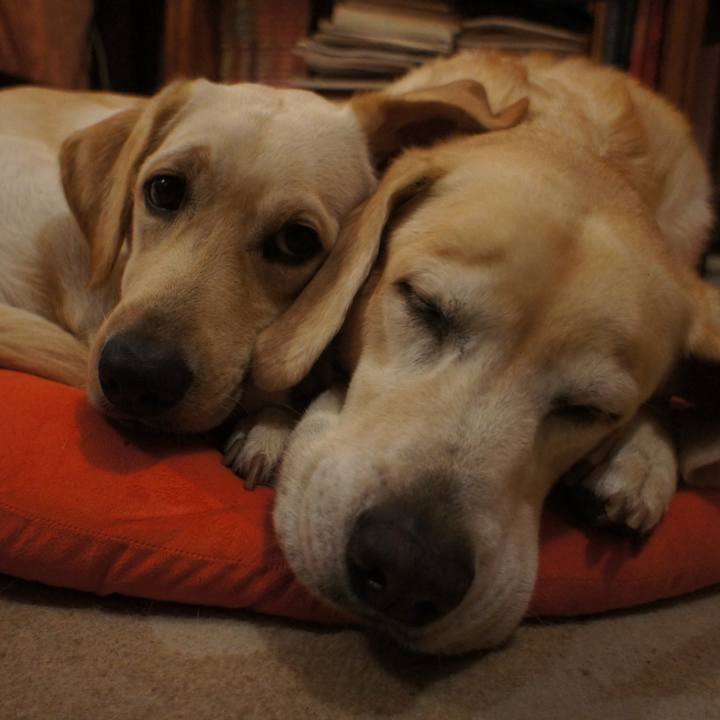 A6e93c97 6149 4d44 a410 57289b9f8e96