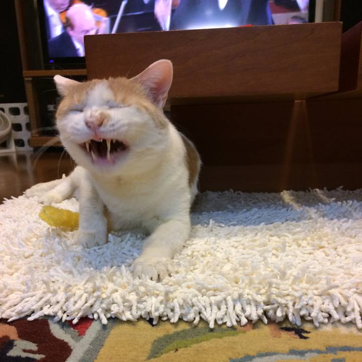 A6e94ad7 707e 435b b2d3 550efb7c4ede