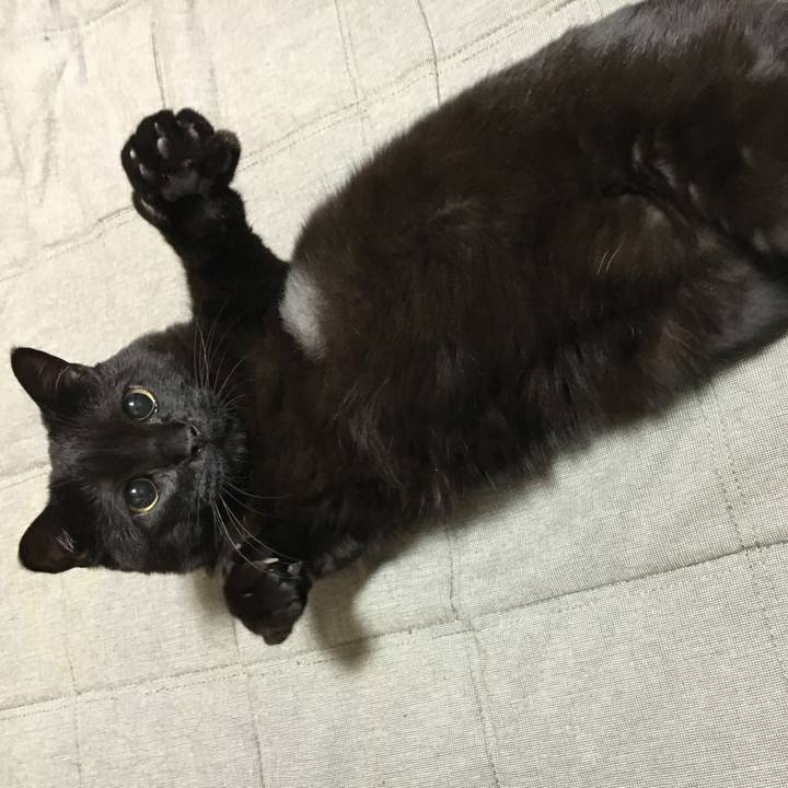 A6e95a59 3dca 4cd1 9702 11b7505a29fd