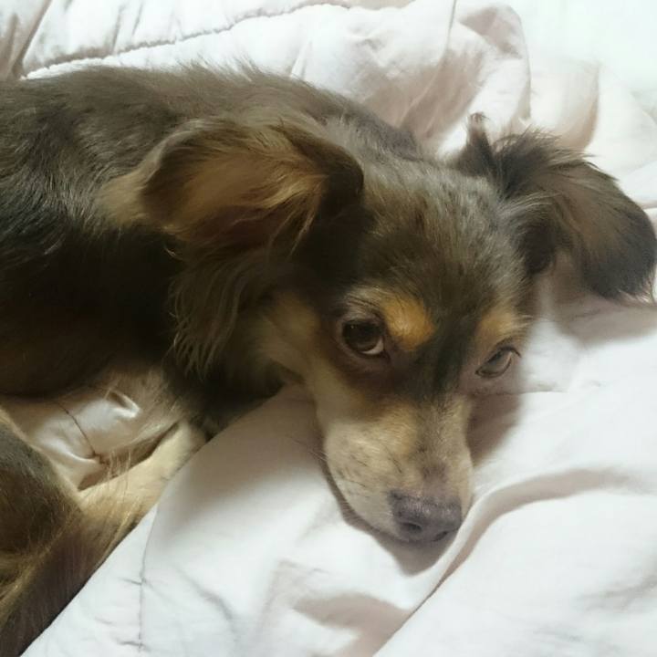 A6e990f0 5a02 4420 8694 9023178f136a