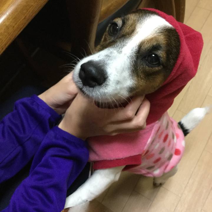 A6e9d572 37a7 4c82 b55f c49a35371899