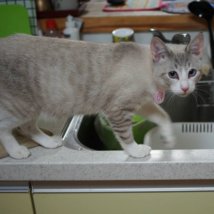 A6ea7a32 7a25 488b a58e e6d23eca6149