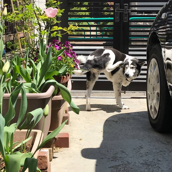 A6ea7bb1 5a0f 402f 9870 4756b55d7095