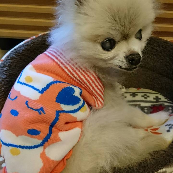 A6eb089e 3520 4f38 8562 3ca958c9afd8