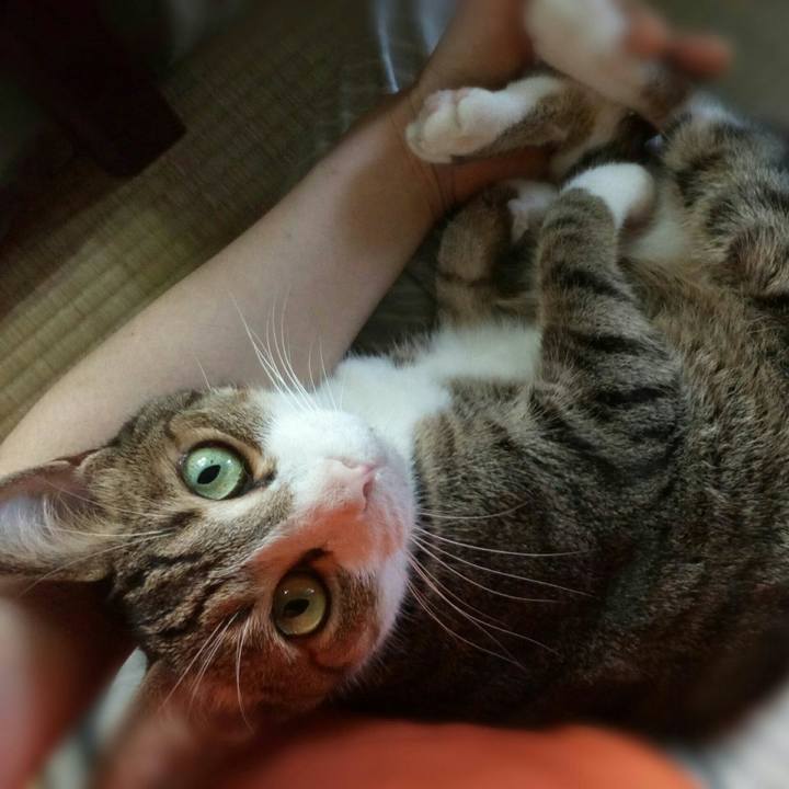 A6ebbd84 7ae4 4ab8 91f9 299f6929e320