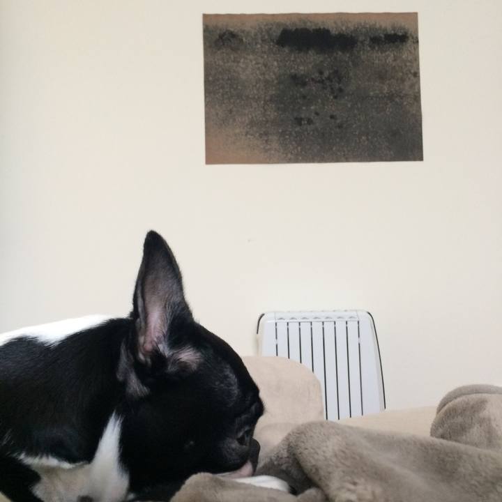 A6ebc630 9c71 43c8 b53c 8168c7308903